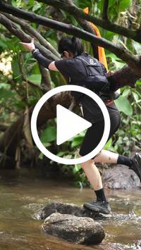 BIB:  <button type="button" onclick="openModal(27825415)" class="btn btn-primary btn-sm float-right" data-toggle="modal" data-target=".modal-high-quality">
                <i class="fa fa-download"></i> Download
                </button>